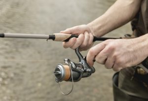 Fly Rod