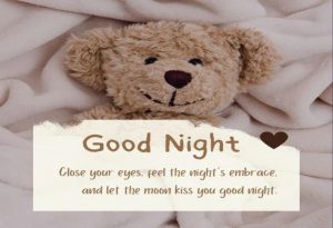 Good Night Quotes