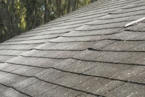 Roof Damage